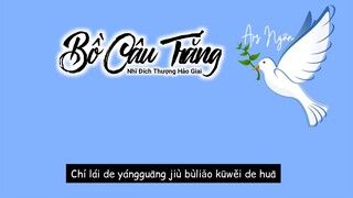 Bồ Câu Trắng (白鸽) - Nhĩ Đích Thượng Hảo Giai