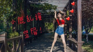 【双猫】❤️小鹿乱撞（竖屏）❤️撞了就跑o(*////▽////*)q