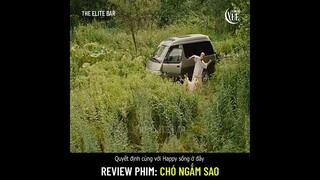 Review phim: Chó Ngắm Sao (Star Watching Dog)Với chú chó, chủ nhân chính là cả thế giới trong mắt nó