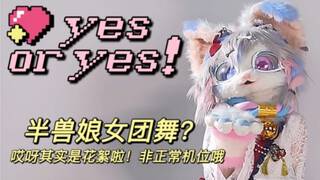 【yes or yes！】叽叽元气满满～ 听见铃铛声了吗  （今天想用相机拍然后正机位留给相机了，但效果跟我想的不一样… 还好还有手机拍的，虽然很侧……