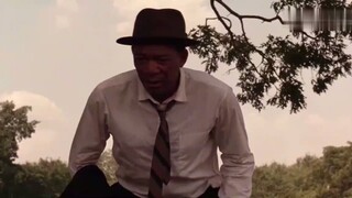 [The Shawshank Redemption] Red found what Andy left under a tree