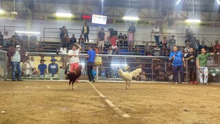 Larry Romero Raptor Sweater  (Win) @Mendez Cockpit Arena #FDRJ