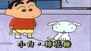 小新:他不是小白，他是白神！