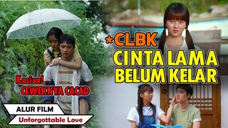 HANYA 1 ORANG YANG PEDULI PADA CEWEK LUMPUH INI  | Alur Cerita Film Unfogettable (2016)