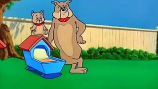 tom and jerry