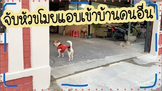 โลกของแสนดี ตอน ทุกๆเย็นของแสนดีทำไร?