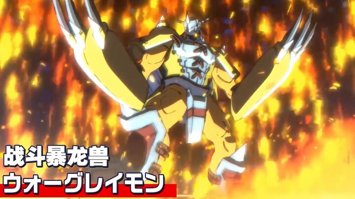 [Khởi động lại Digimon] Hãy chiến đấu với Greymon với lòng dũng cảm như ánh sáng dẫn đường của bạn!