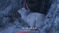 46. The abandoned girl was the Nine-Tailed Fox,the War God used all his power to save her