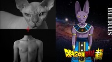 [TIPS&TRICK] Bikin Gambar BEERUS [DRAGON BALL SUPER], Cuma Pake Referensi?..