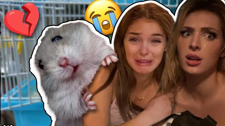 I LOST MY PET IN 5 MINUTES I  CRIED ＊＊EMOTIONAL REACTION＊＊ ｜ Brighton Sharbino