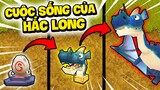 NẾU HẮC LONG CÓ CUỘC SỐNG TRONG MINI WORLD | SIRO 1 NGÀY BIẾN THÀNH RỒNG BẢO VỆ LÀNG HERO TEAM