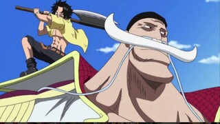 [Awang] What are the same words Luffy and Roger said? What is the fate of the D family?