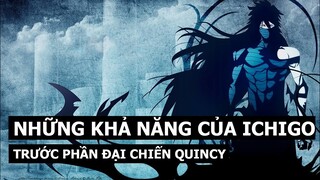 Những Khả Năng Mà Ichigo Từng Sở Hữu Trước Phần Đại Chiến Với Quincy