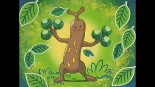 ウソッキーはどこにいる