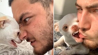 หมาโกรธ วิดีโอที่ดีที่สุดเกี่ยวกับสุนัข 20