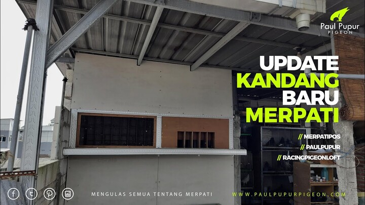 UPDATE KANDANG BARU MERPATI PAUL PUPUR 2022