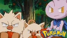 Pokémon Tập 235: Baruki Và Vua Karate Nobuhiko! (Lồng Tiếng)