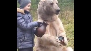 Saran untuk diubah menjadi: Berbincang dengan beruang sambil minum...