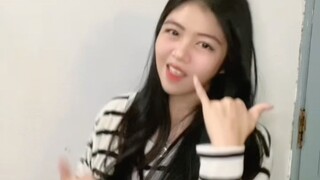 Kupu kupu sedang melayang