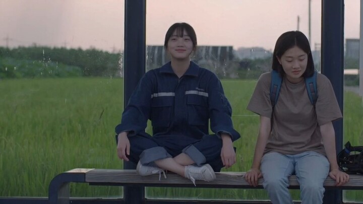 Kenapa kamu tidak datang ke pemakamanku? [Film pendek Korea "Disappearance" subtitle bahasa Mandarin