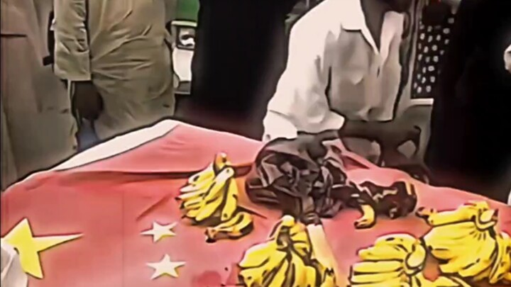 “I don’t understand why our flag is used as a tablecloth?”
