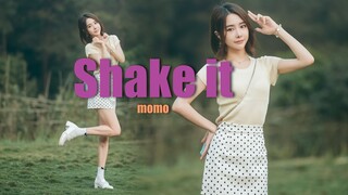 春游限定版~活力满满的shake it快来领取吧！