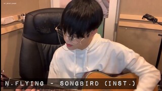 Songbird (Acoustic Inst.) - N.Flying Cha Hun Live Guitar [20210901]