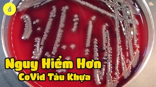 Phát Hiện Vi Khuẩn Ăn Thịt Người Khi Soi Nước Sông Tô Lịch Dưới Kính Hiển Vi!!! Kinh Hoàng Phút Cuối