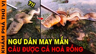 🔥7 Động Vật Kỳ Lạ Bị Con Người Bắt Được Khi Đang Đi Câu | Ngư Dân May Mắn Câu Được Cá Hoá Rồng |KPTV