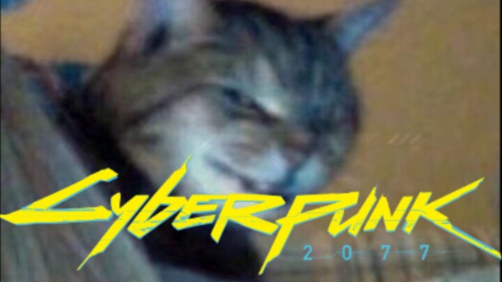 "Cyberpunk 2077" Cat Cat Special DLC
