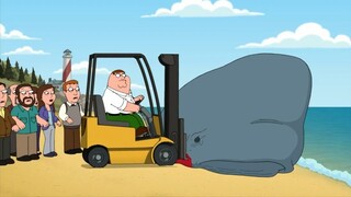 【Family Guy】ทารกแรกเกิดและปลาวาฬ สิ่งที่คุณต้องรู้