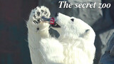 [Film]Film Korea: Secret Zoo, Beruang Kutub yang Suka Minum Cola