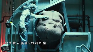 会炸鱼的超级猪：“你救我一命，我定护你一生”！