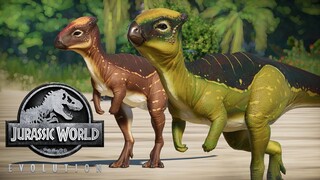 Homalocephale || All Skins Showcased - Jurassic World Evolution