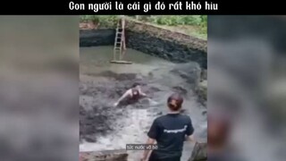 Con người là cái gì đó rất khó hiểu #meme