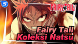 Fairy Tail|Koleksi Kombat Klasik Personal Natsu!_WB5