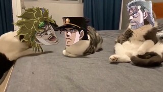 jojo的奇妙冒险 猫猫版