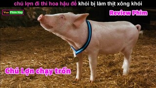 chú Lợn Quyết thi Hoa Hậu vì sợ Thành thịt Xông Khói - Review phim Chú Lợn Chạy Trốn