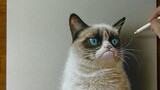Vẽ 3D cực đẹp: Chú mèo giận dữ!