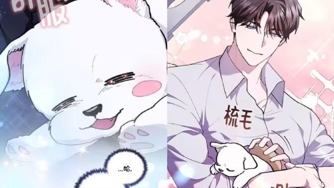小狗越坏狼大越爱，小狗越香饿狼尝尝~