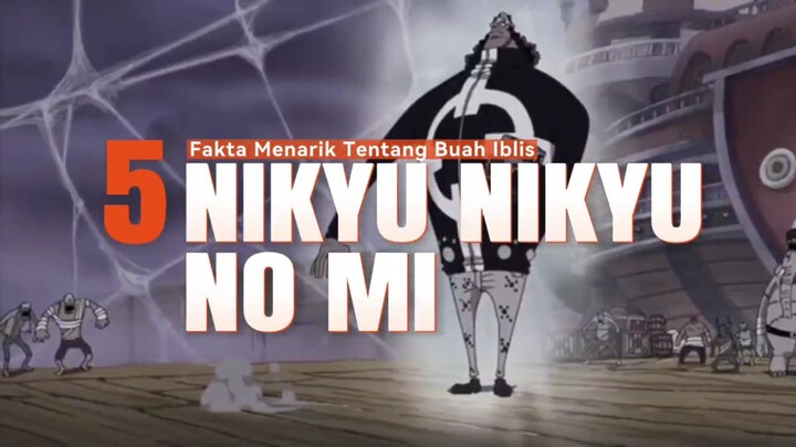 5 Fakta Menarik Tentang Buah Iblis NIKYU NIKYU NO MI 🔥