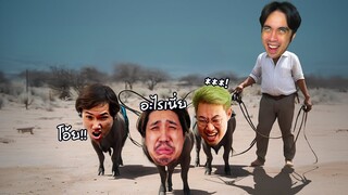 ก่อนเล่นเกมนี้มีเพื่อน 3 คน ตอนนี้ไม่เหลือสักคน | Chained Together