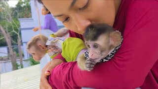 Sweet Love !! Adorable Toto & Yaya so warmth when Mom gently hug & kiss them