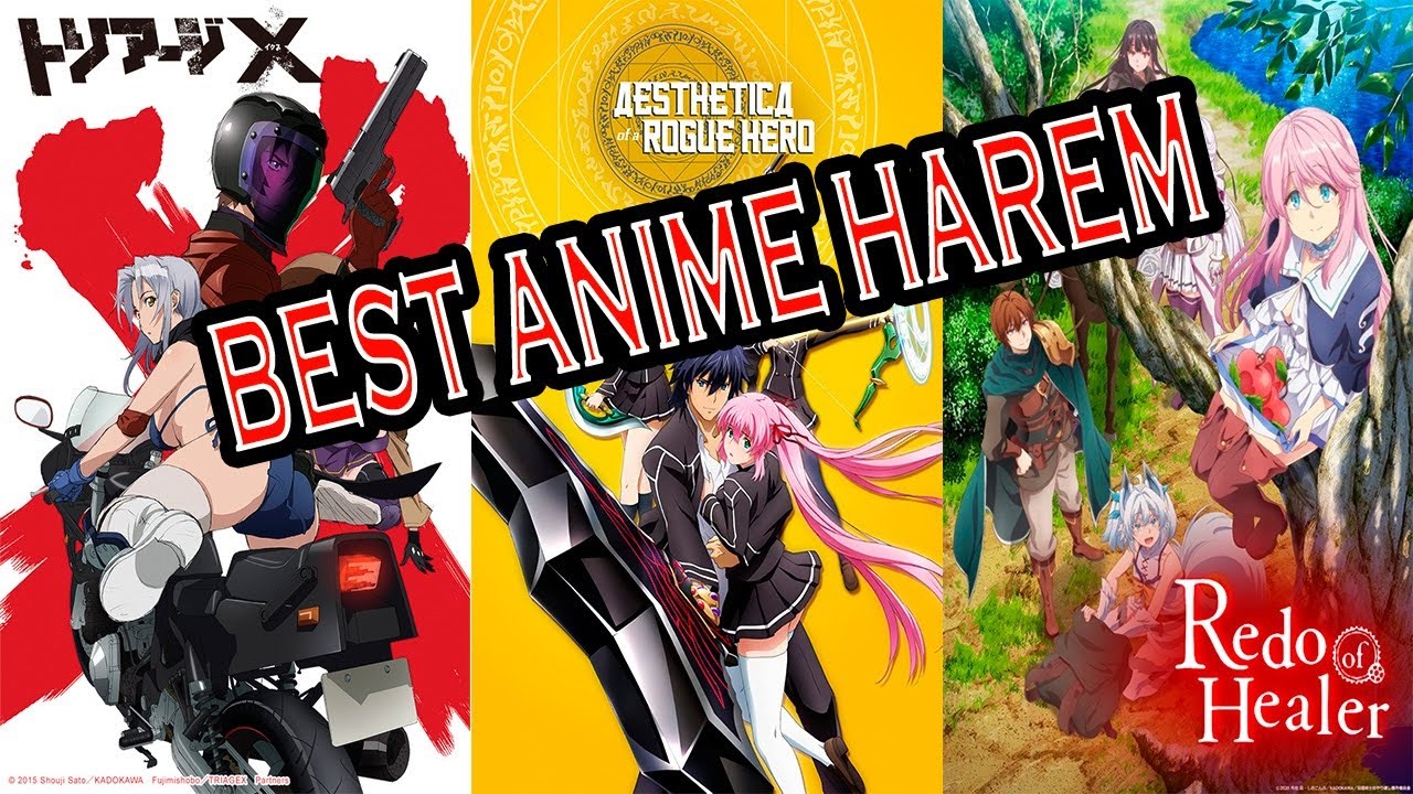 25 Best Harem Anime Series You Must Watch - Bilibili