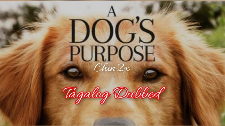 A Dog's Purpose (2017) Tagalog Dubbed l Adventure l Comedy l Drama  (RJC ENCODED)
