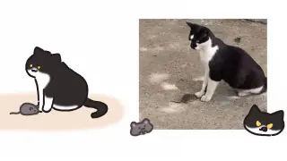 Cat:You're mine! Mouse:I'm finished!