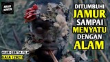 JANGAN COBA MASUK KE HUTAN INI KALAU GAK MAU JADI PUPUK - Alur Cerita Film G41A (2021)