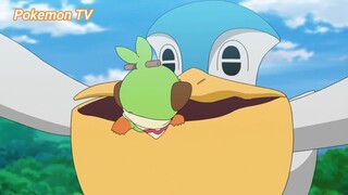 Pokemon (Short Ep 69) - Việc vặt đầu tiên của Ibui và Sarunori (Phần 3) #pokemon