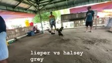 hulsey grey vs lieper hatch