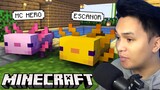 Bigyan Pangalan ang mga Axolotl... Minecraft Tagalog #12